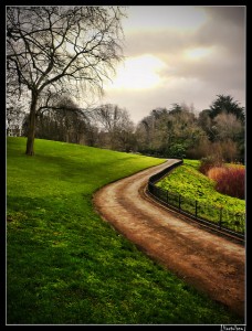 A beautiful morning in the Phoenix Park. Photo credit: Miguel Hortolano